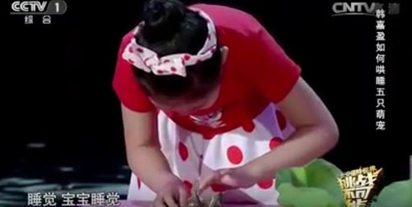 صورة فيديو..طفلة صينية تنوم مغناطيسيا 5 حيوانات في 5 دقائق