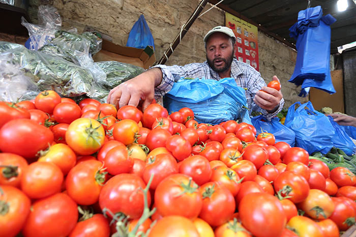 صورة المفوضية الأوروبية ترفض تعديل اتفاقية التجارة بشأن تنظيم استيراد الطماطم المغربية