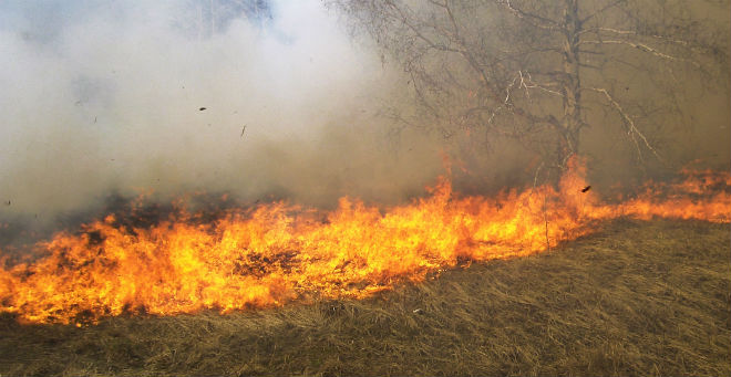 صورة فيديو : اندلاع حريق بمنطقة مديونة بطنجة